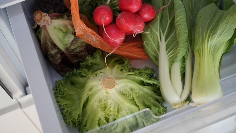 Grönsakslåda med rädisor, sallad och pak choi i kylskåp